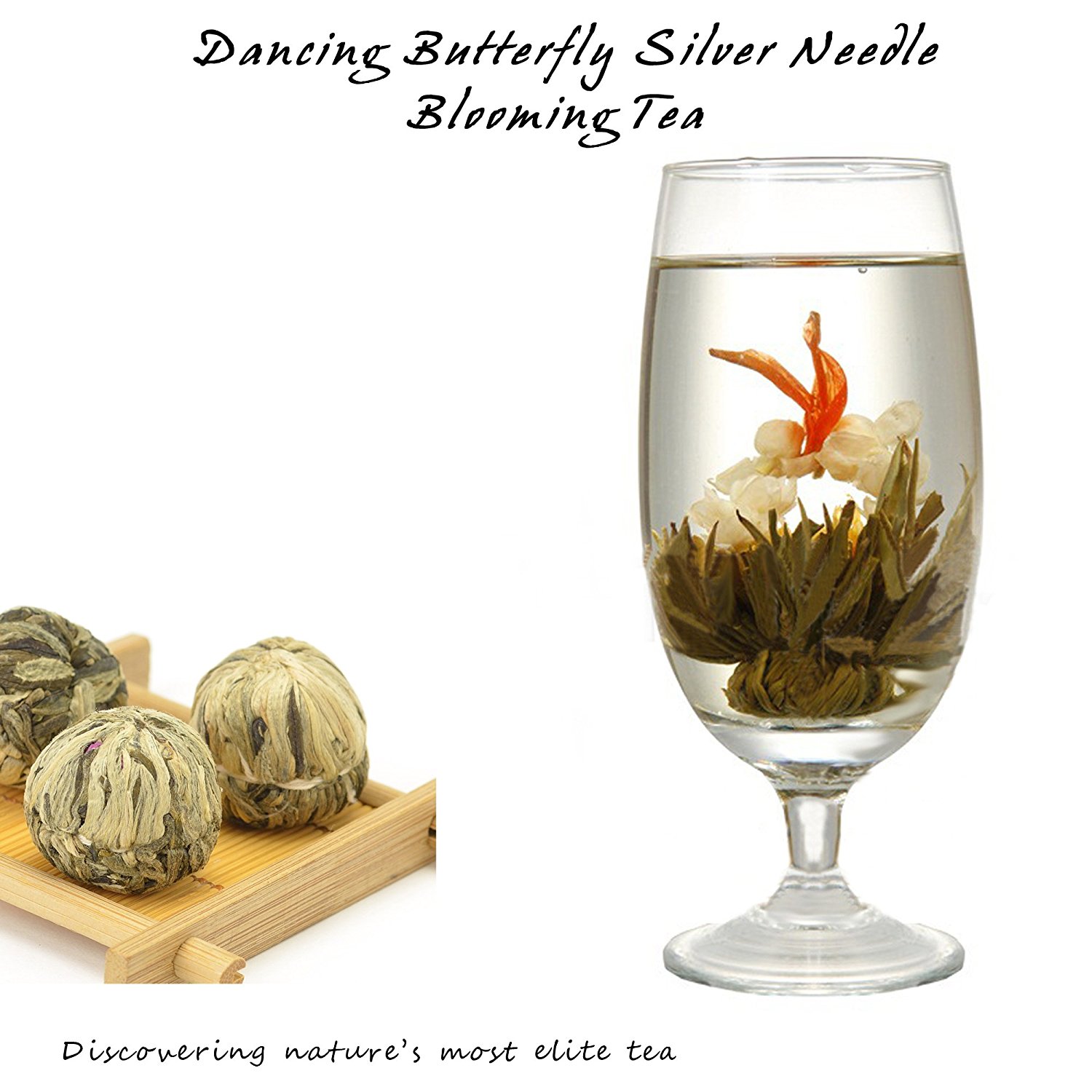 Elitea® 12 Pieces Premium Grade Jasmine Blossom Blooming Flowering