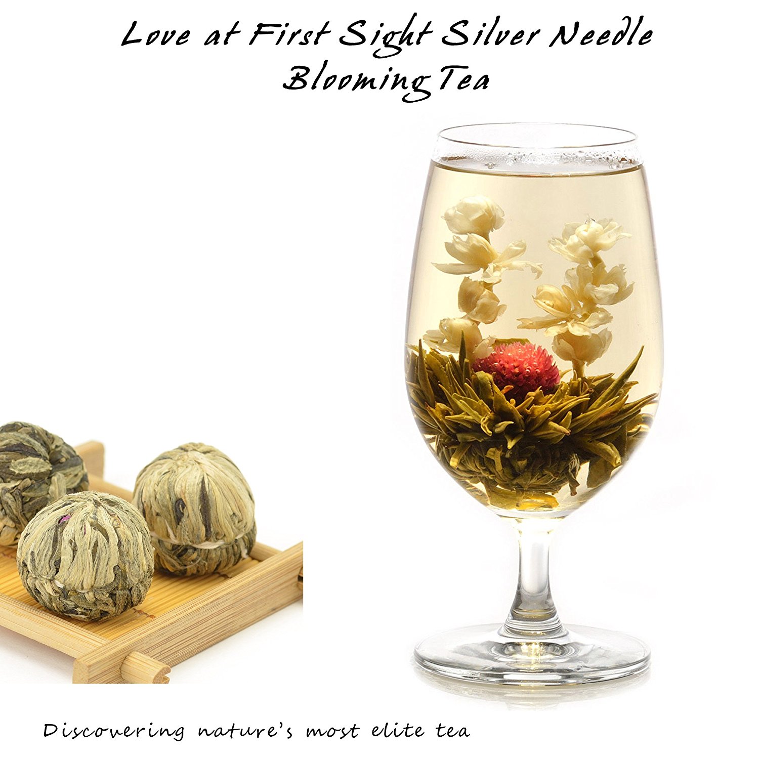 Elitea® 12 Pieces Premium Grade Jasmine Blossom Blooming Flowering