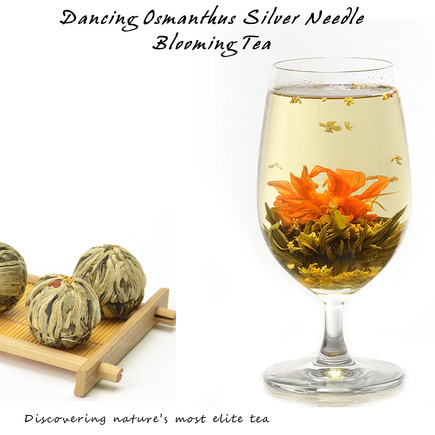 Elitea® 12 Pieces Premium Grade Jasmine Blossom Blooming Flowering