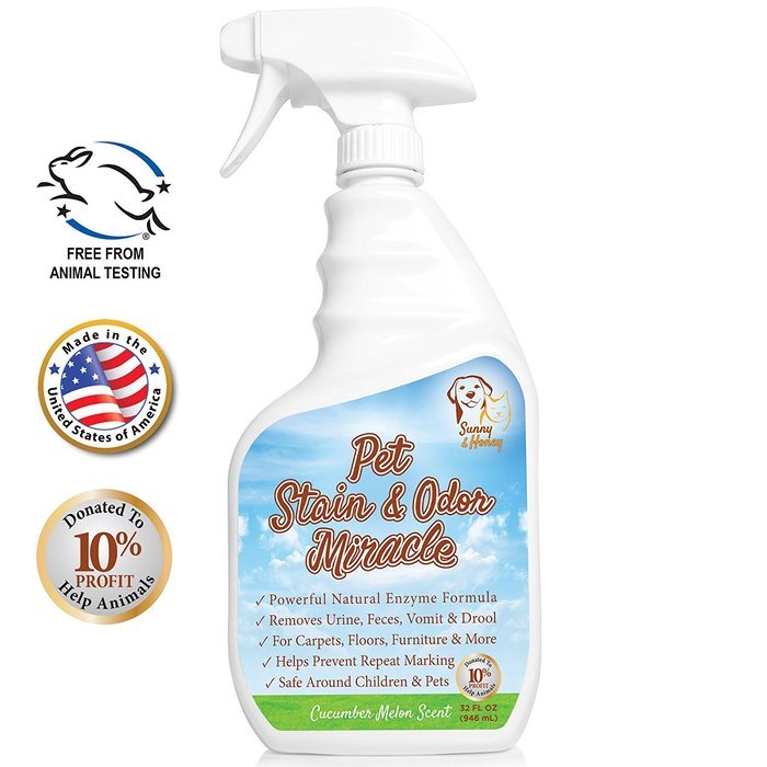 Pet Stain & Odor Miracle Enzyme Cleaner for Dog and Cat Urine, Feces