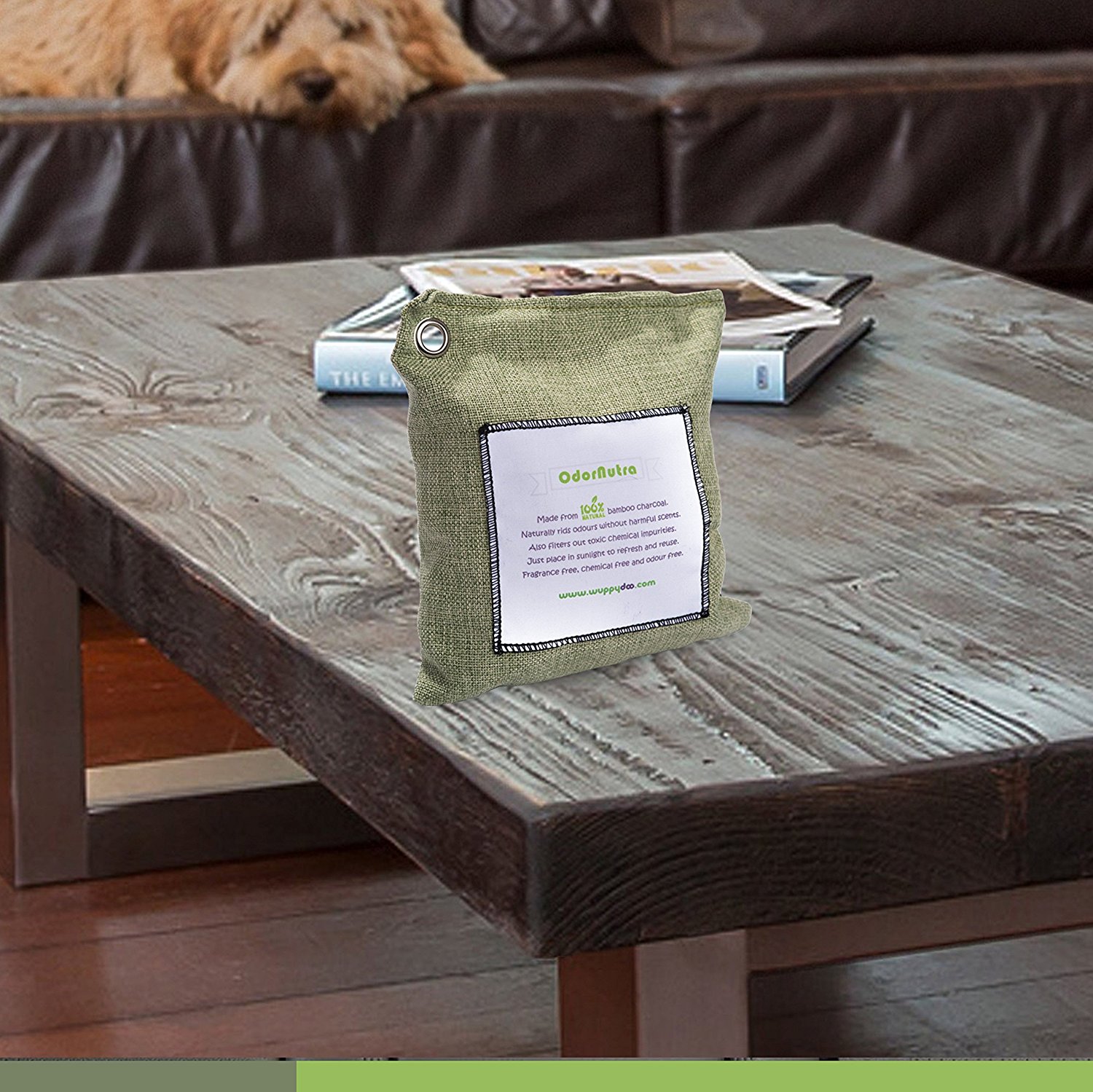 All Natural Air Freshener Air Purifier Controls Moisture and Odor