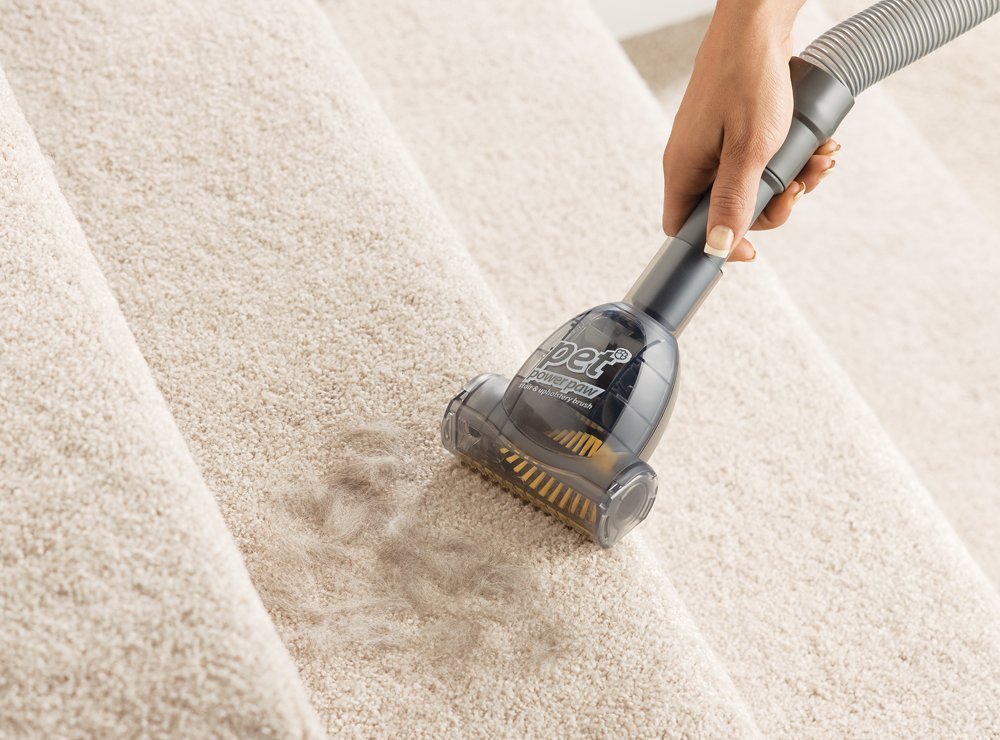 Eureka Mighty Mite Canister Vacuum with Pet Attachments, 3684F N6 free