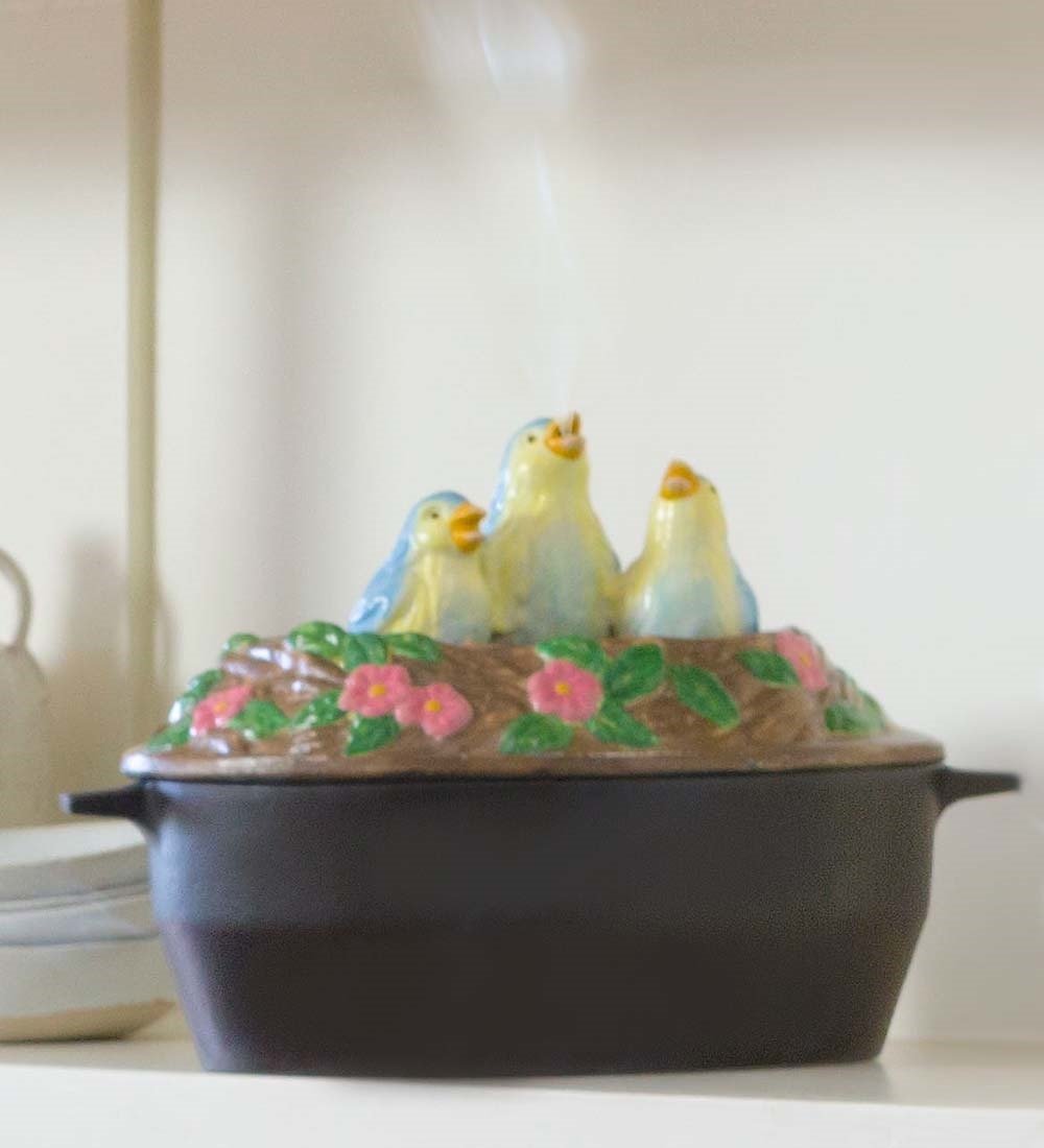 Plow & Hearth Bluebird Cast Iron Wood Stove Steamer 2 Quart Capacity