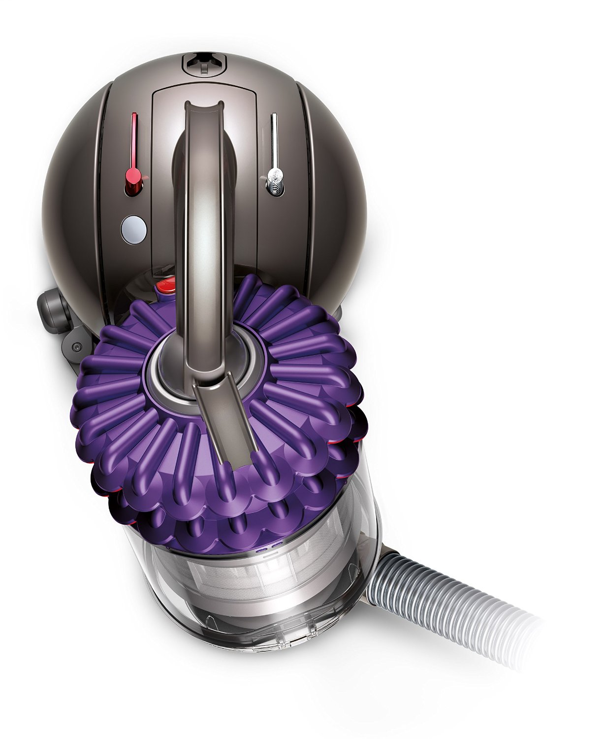 Dyson Big Ball Animal Canister Vacuum free image download