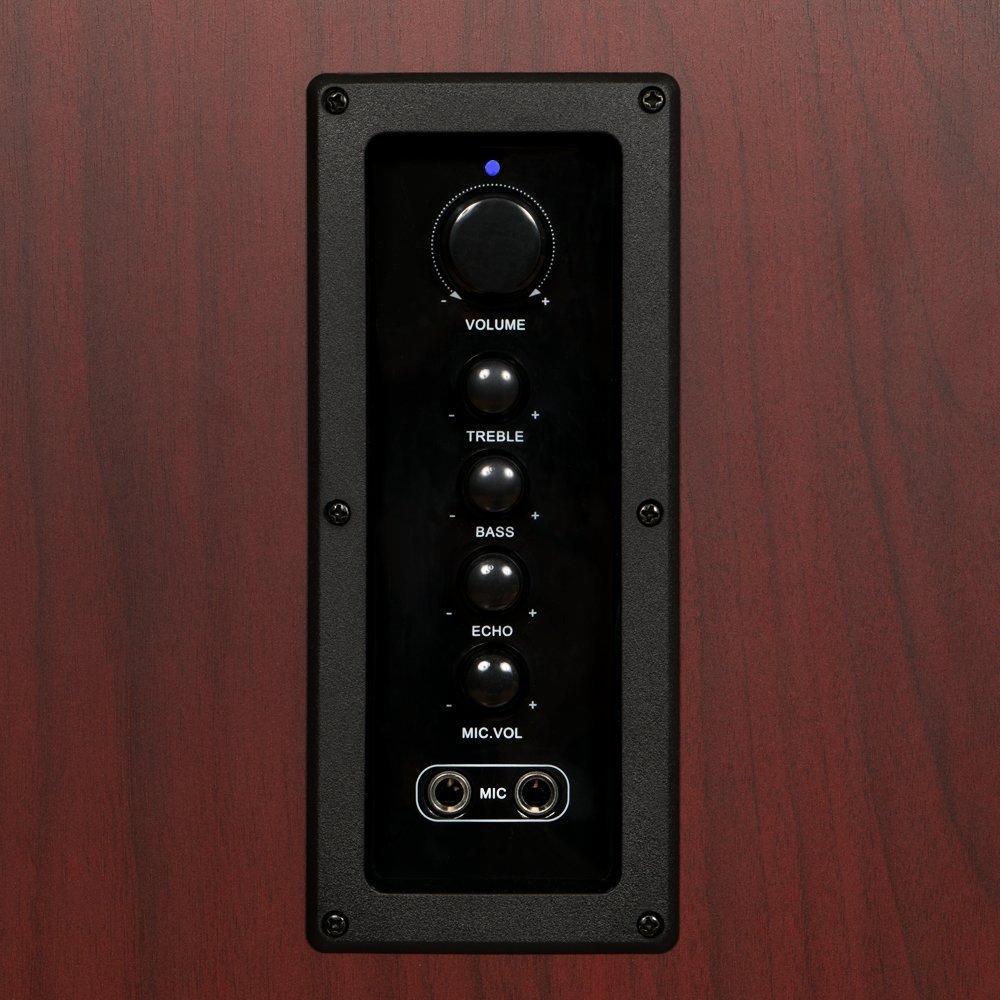 Acoustic Audio TSi650 Bluetooth Powered Floorstanding Tower Multimedia