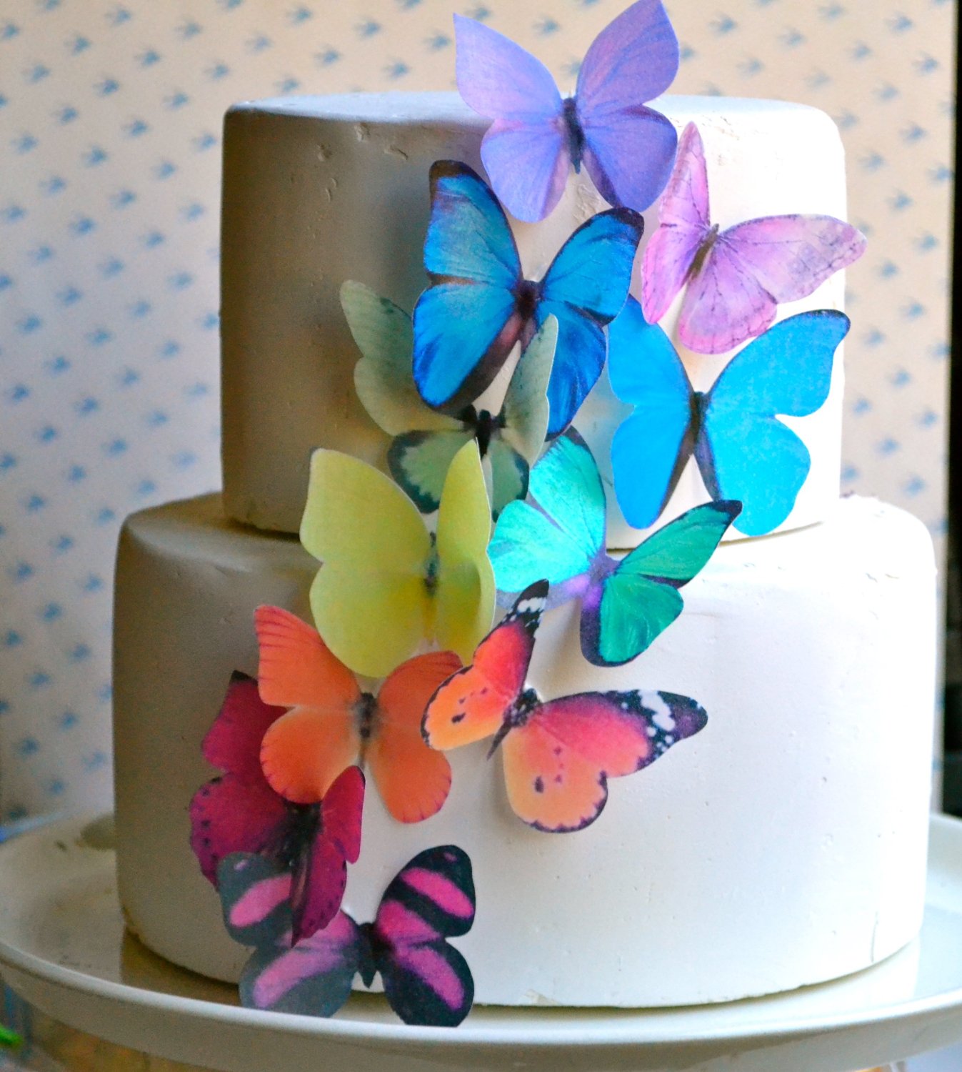 Edible Butterflies © Large Rainbow Variety Set of 12 Cake and