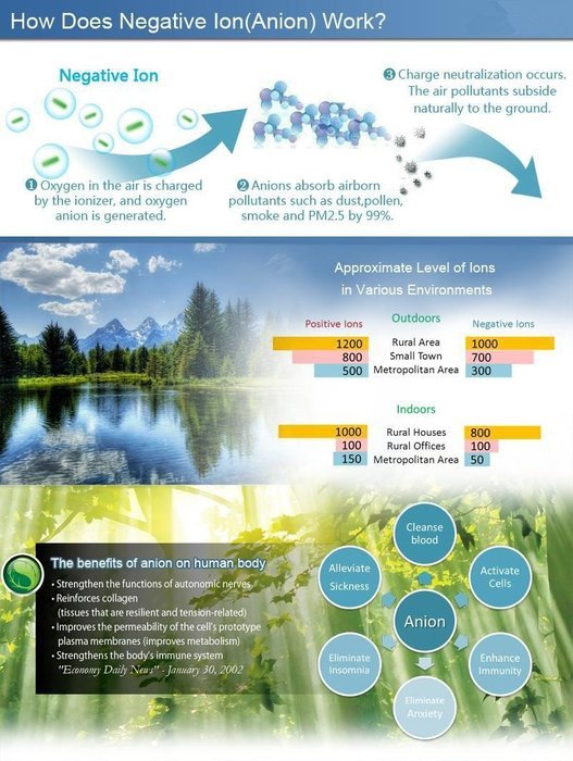 Susan's Car Air Purifier IonizerFresh Air and Better Life Eco Breeze