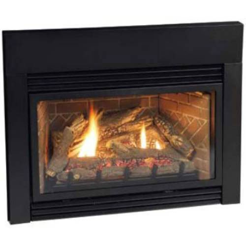 Direct Vent Fireplace Insert DV25IN73LP Liquid Propane free image