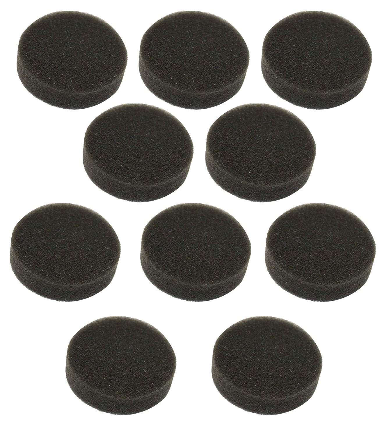 Genuine Kirby Vacuum Shampooer Tank Sponge Filter 307389 (Rug