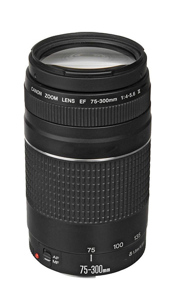 Canon EOS Rebel SL1 DSLR Camera with 1855mm IS STM and 75300mm III