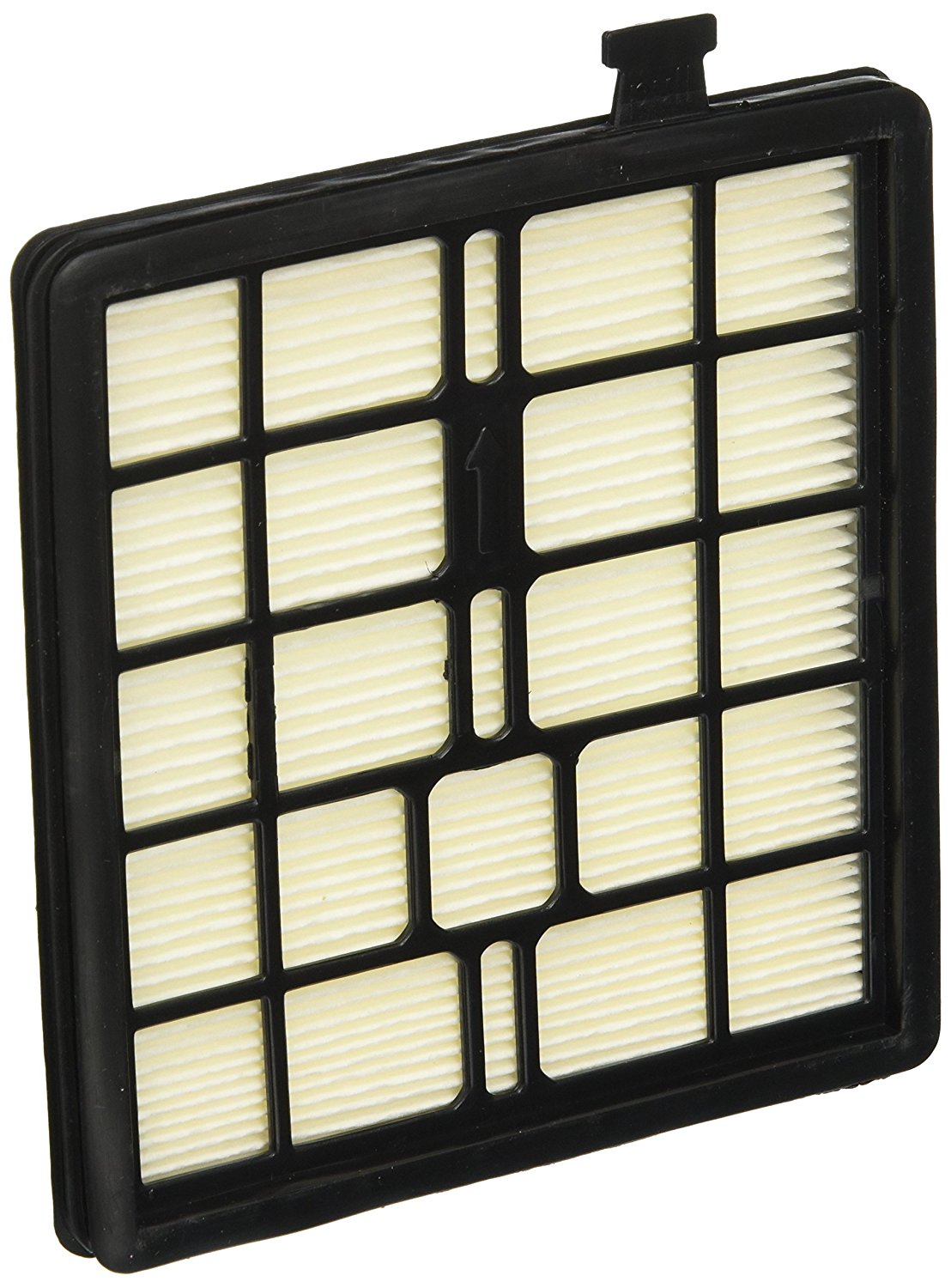 Royal Dirt Devil Filter, F45 Sd40000 free image download