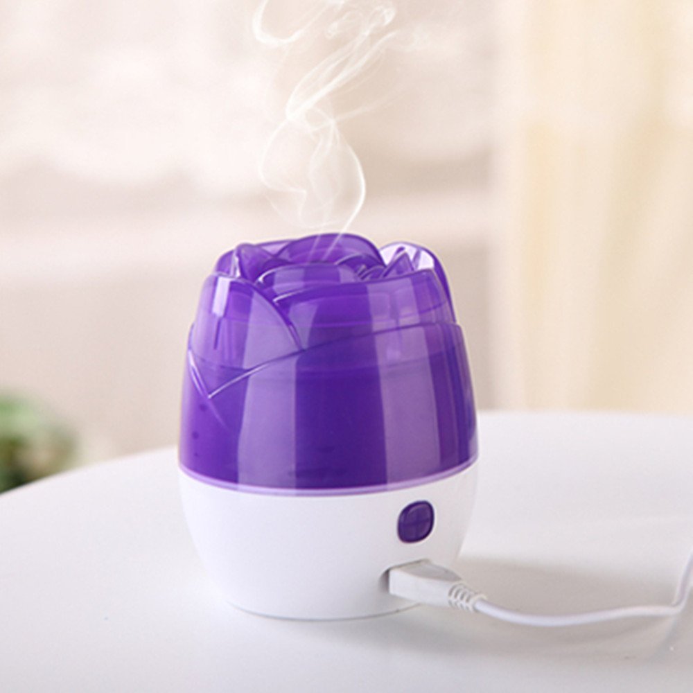 JoJoauto Mini USB Desk Roses Dazzle Humidifier Freshener Household