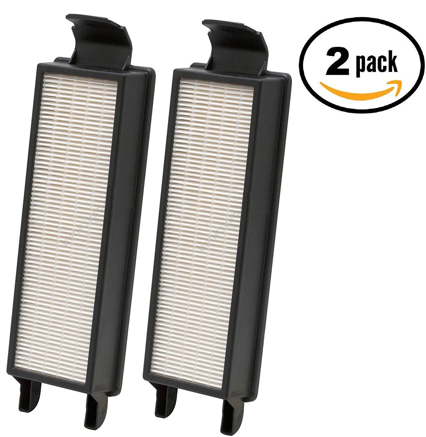 Eureka HF5 HEPA Filters (2 Pack) free image download