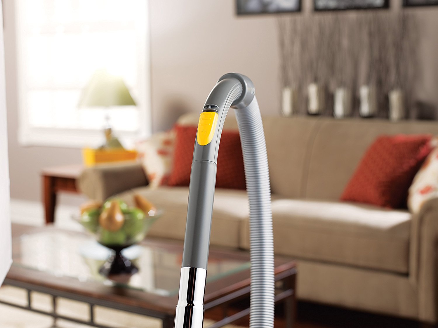 Eureka Rally 2 Bagged Canister, 980AEZ Corded N6 free image download