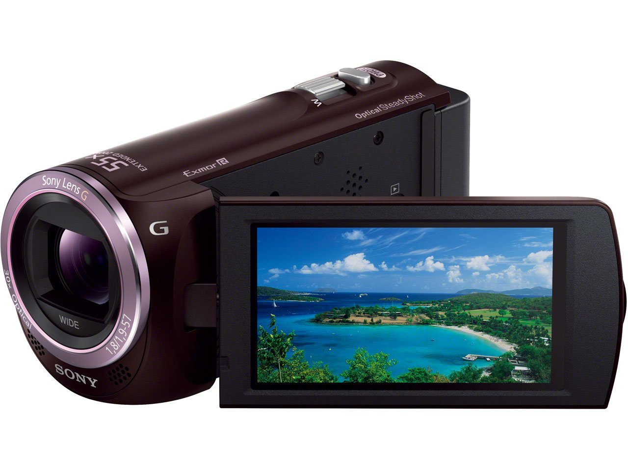 Sony Digital Hd Video Camera Recorder Hdrcx390 Black High Difination