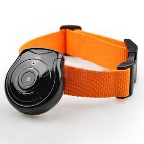 NEW Pet Camera Dog Cat Collar Video Camera Pet's Eyes Auto Interval Record N4 free image download