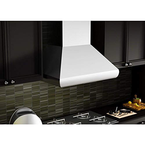 ZLINE 42 in. 1200 CFM Wall Mount Range Hood in Stainless Steel N8 free