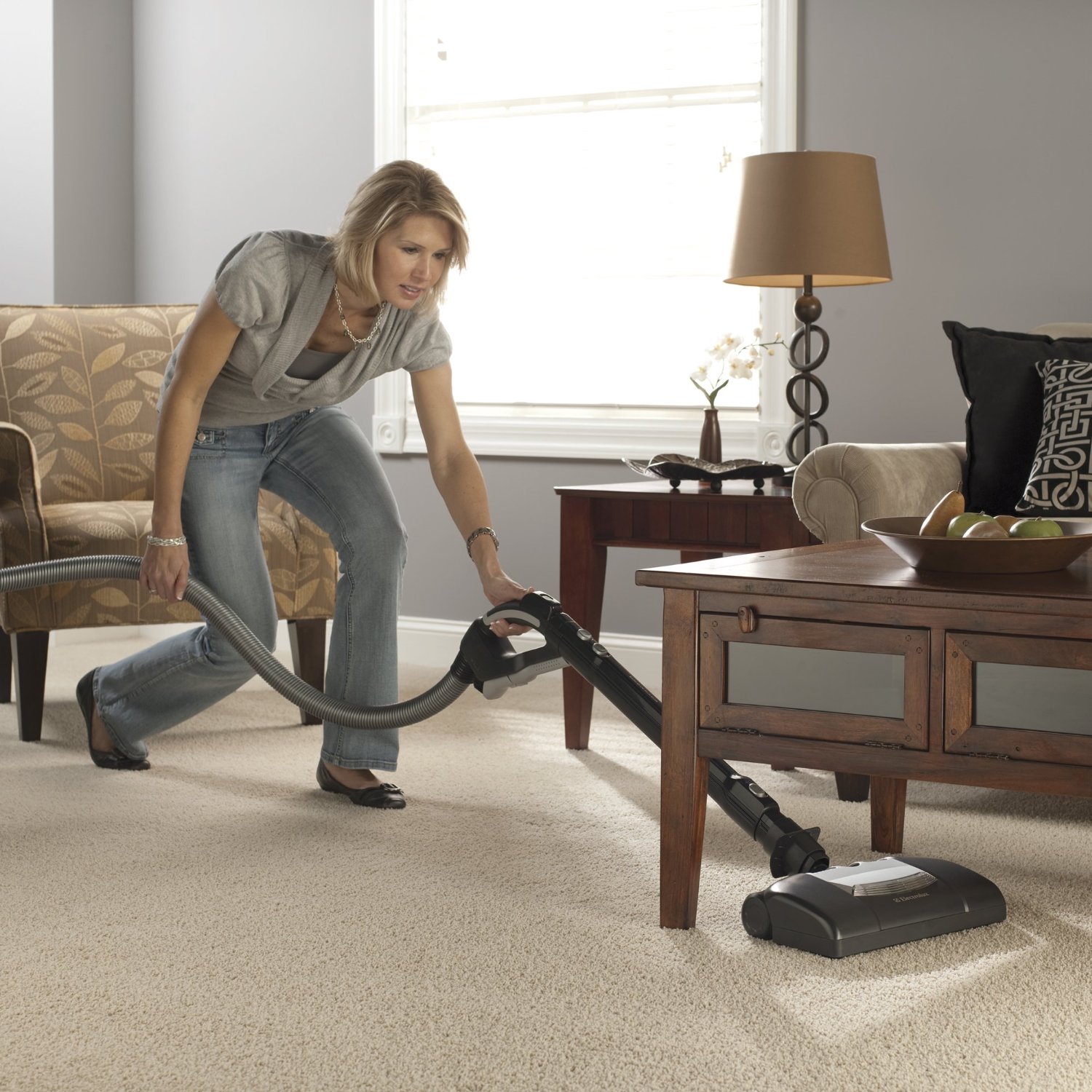 Electrolux Jetmaxx Green Canister Vacuum, EL4040A N3 free image download