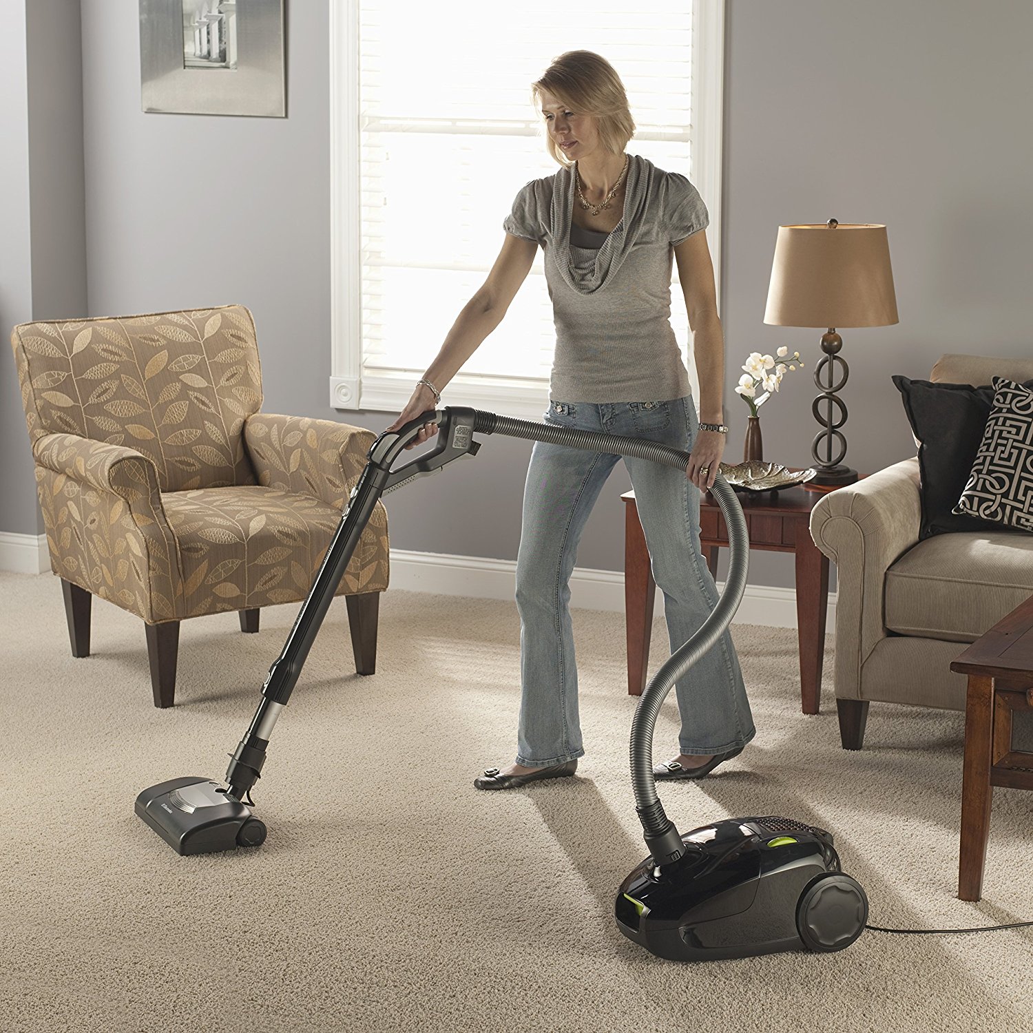 Electrolux Jetmaxx Green Canister Vacuum, EL4040A N4 free image download