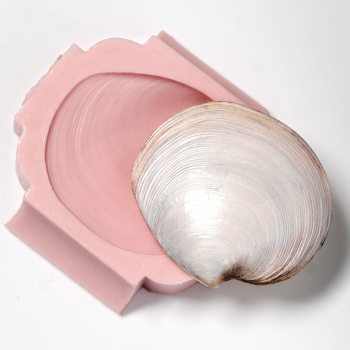 Silicone Mold Sea Shell Food Safe Fondant, Chocolate, Candy, Resin
