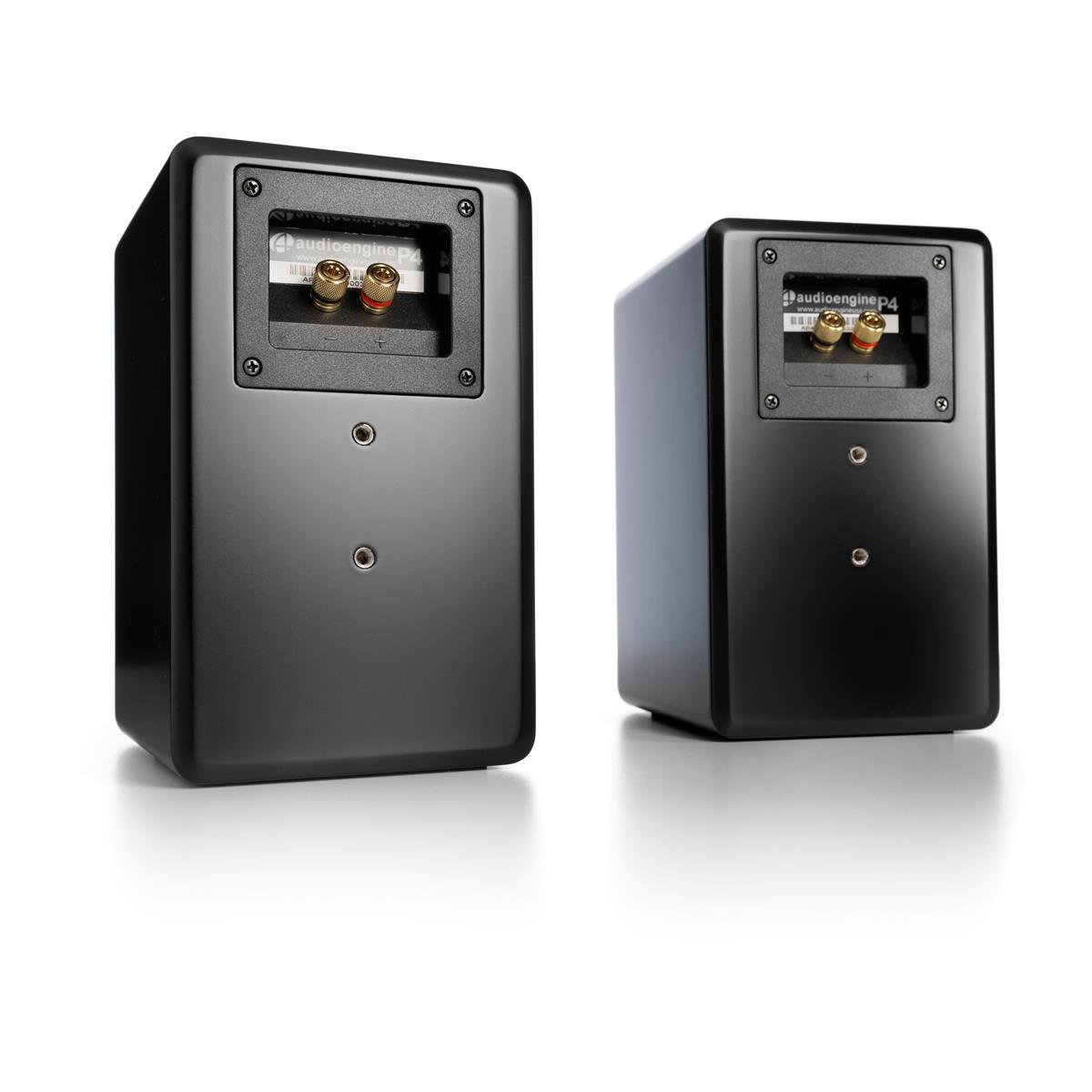 Audioengine P4 Premium Passive Bookshelf Speakers (Black) with DS2