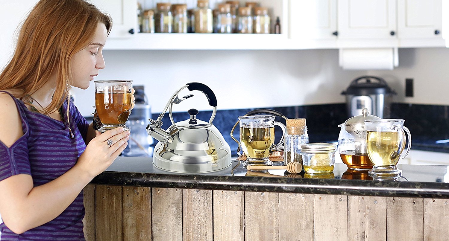 Surgical Stainless Steel Whistling Tea Kettle, 2.75 Quart Stove Top