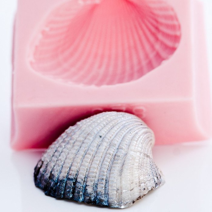 Sea Shell Silicone Mold Food Safe Fondant, Chocolate, Candy, Resin