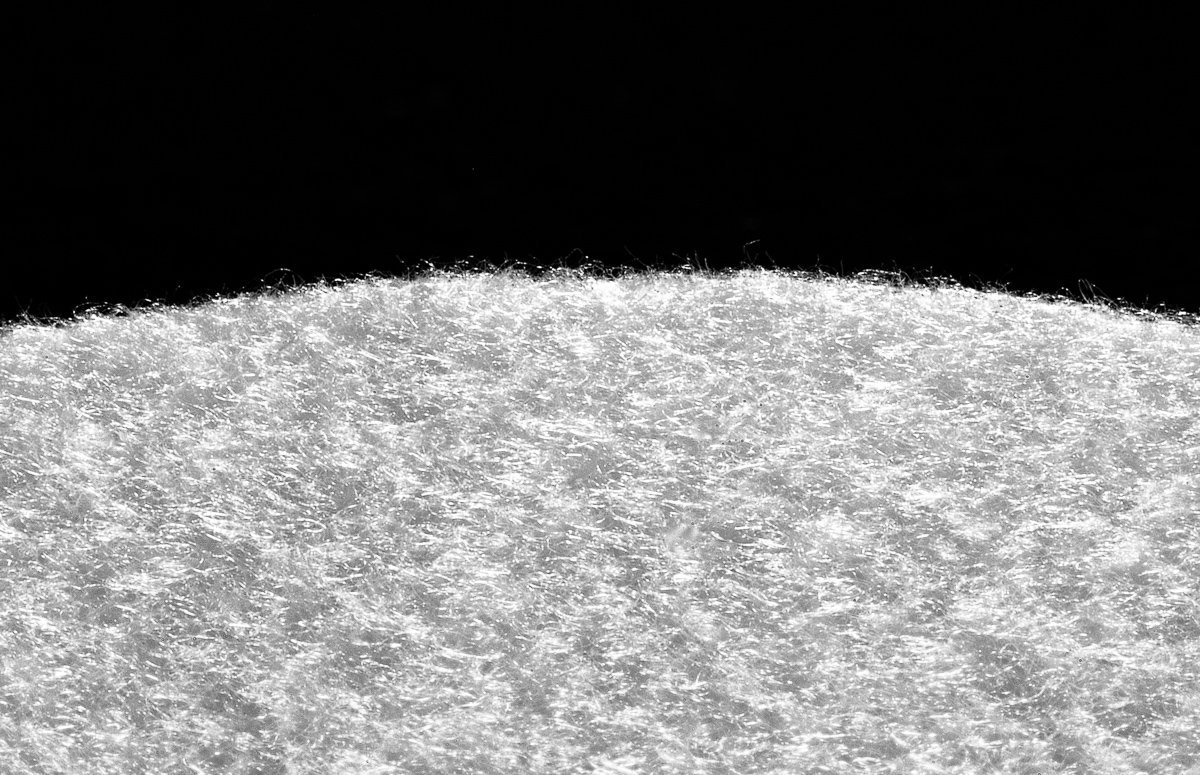 Micro Fine Reusable Coffee Filter for French Presses (Qty2, Size 4