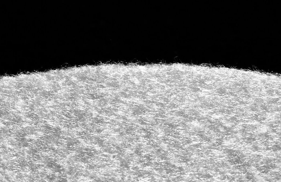 Micro Fine Reusable Coffee Filter for French Presses (Qty2, Size 4