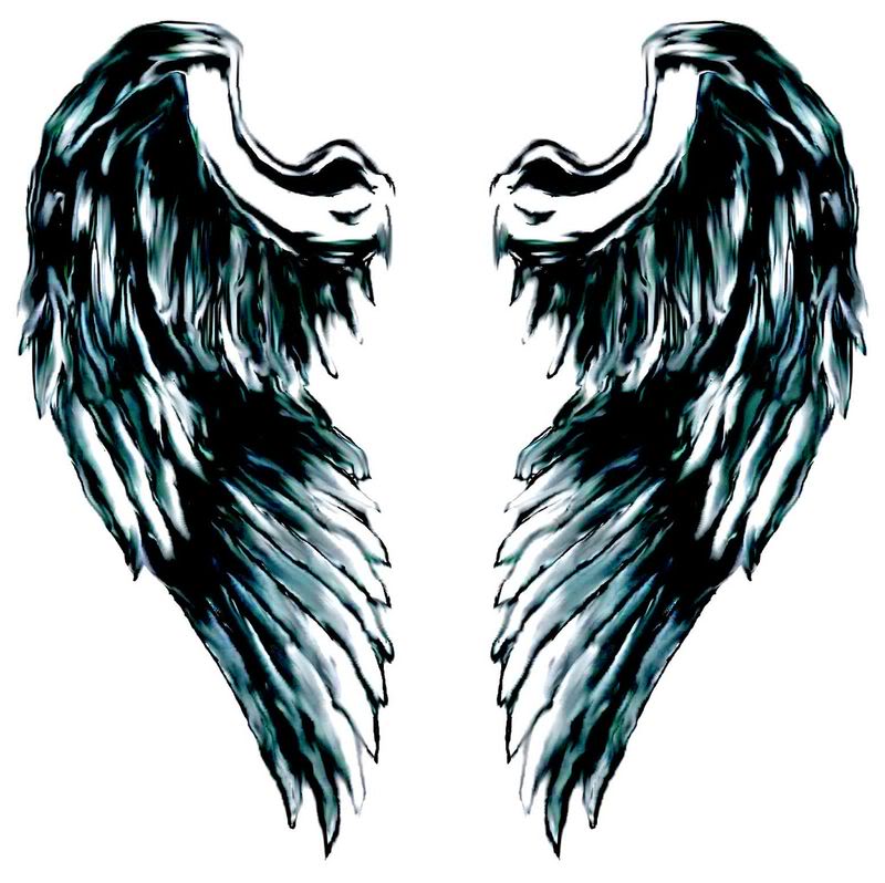 Black angel wings on a white background free image download