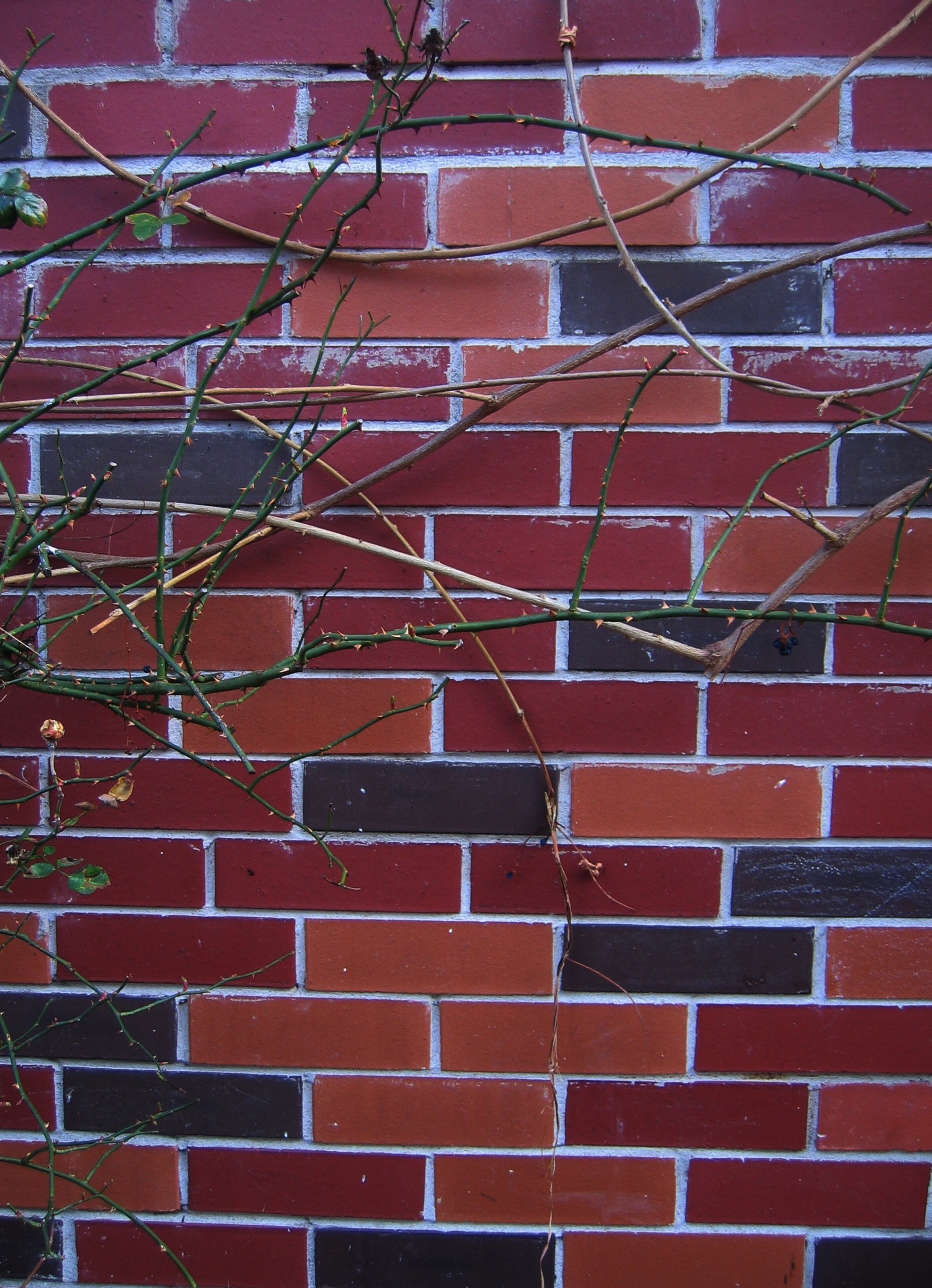 Aesthetic Brick Wallpaper