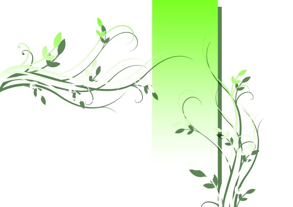 White background with decorative green leaves free image download