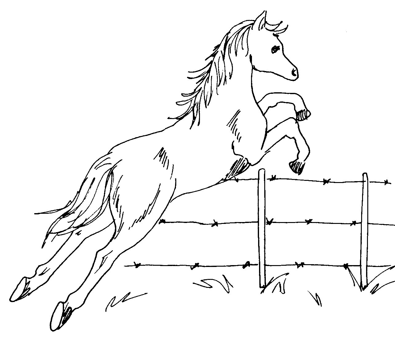 Horse Jump Drawing free image download