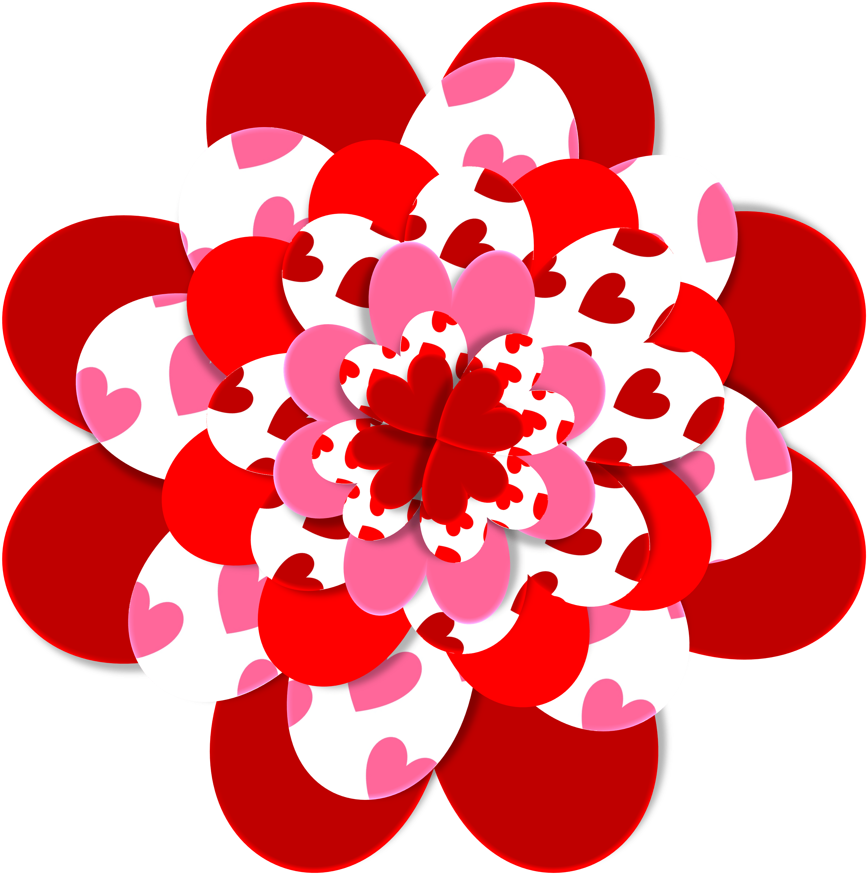 Valentine heart shape flower love free image download