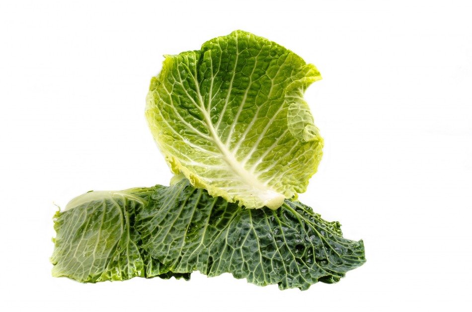 Isolated kale leaves free image download