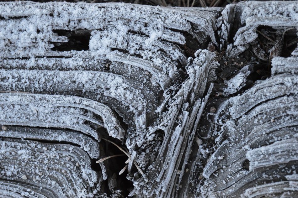 Frost wood texture cold frozen free image download