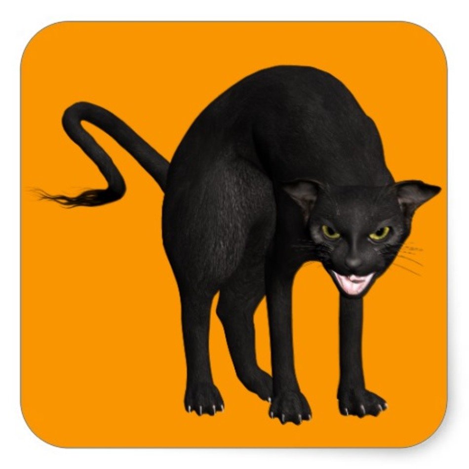 Scary Halloween Black Cat free image download