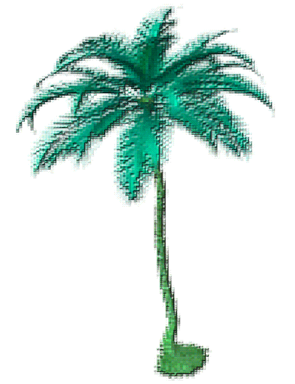 Animated Palm Tree N2 free image download