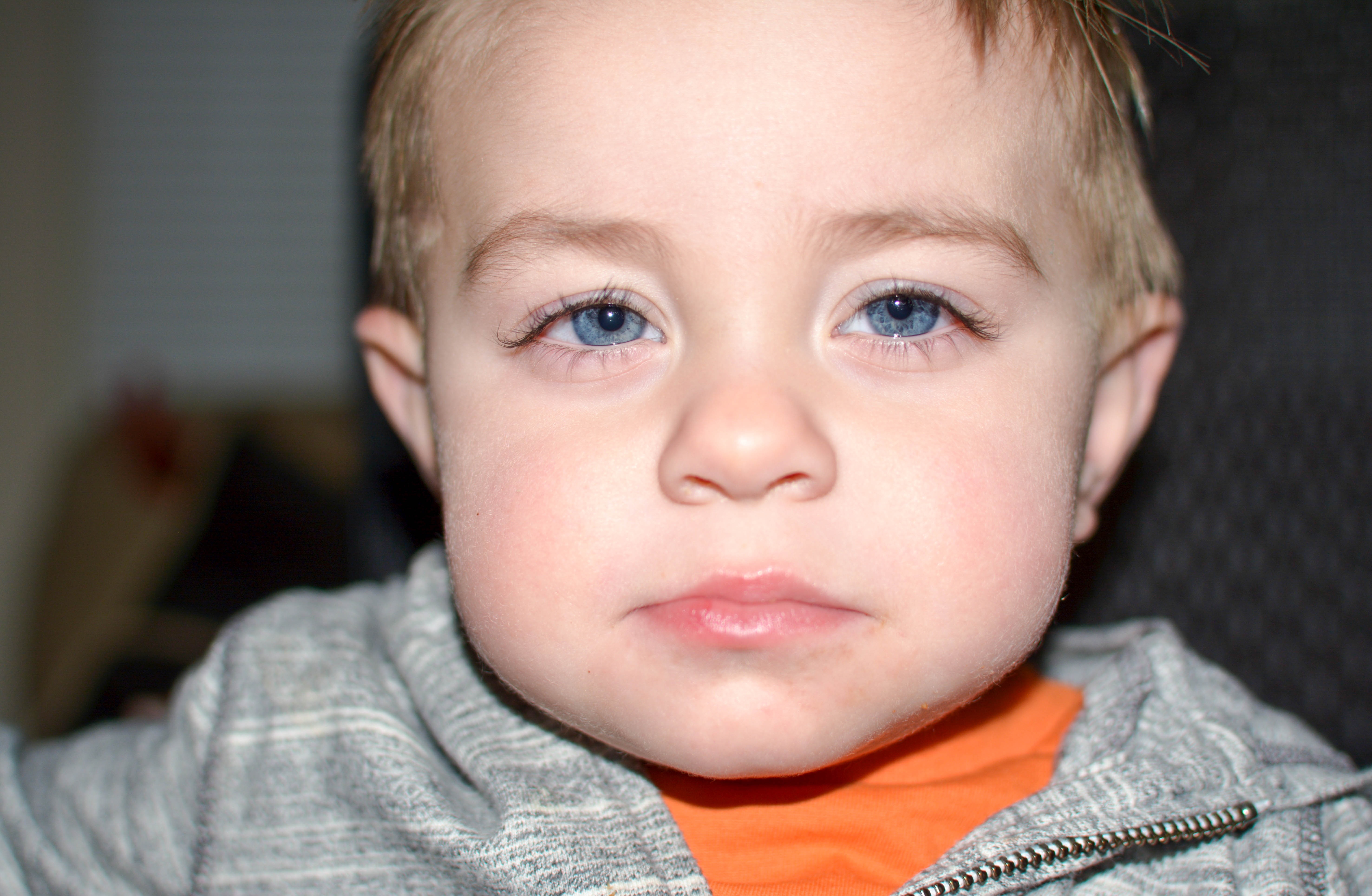 Cute Blonde boy with blue eyes free image download