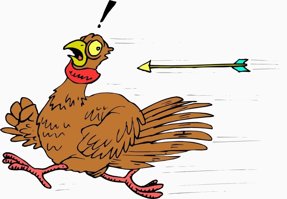 Cartoon Turkey Running drawing free image download