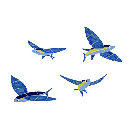 Flying Fish free image download