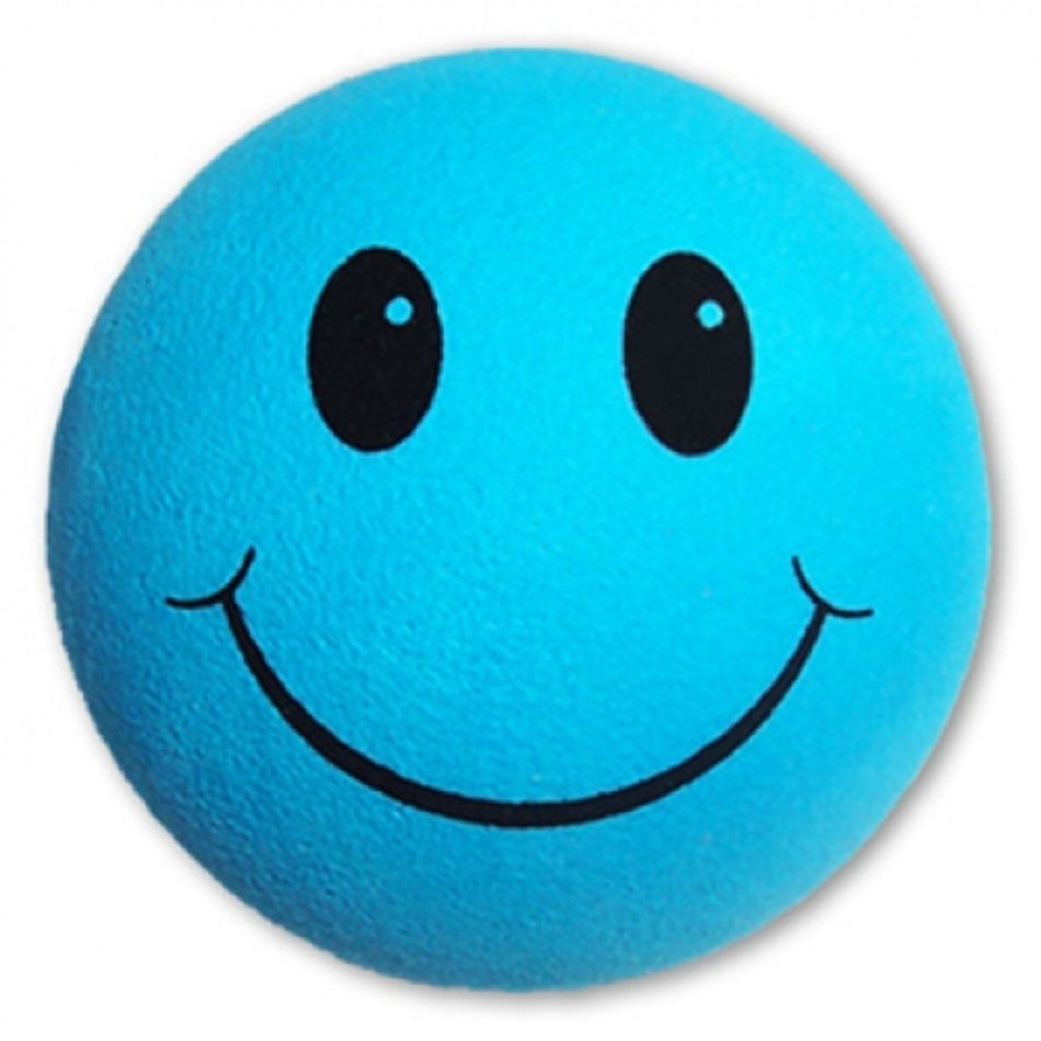 Blue Smiley Face Clip Art N16 free image download