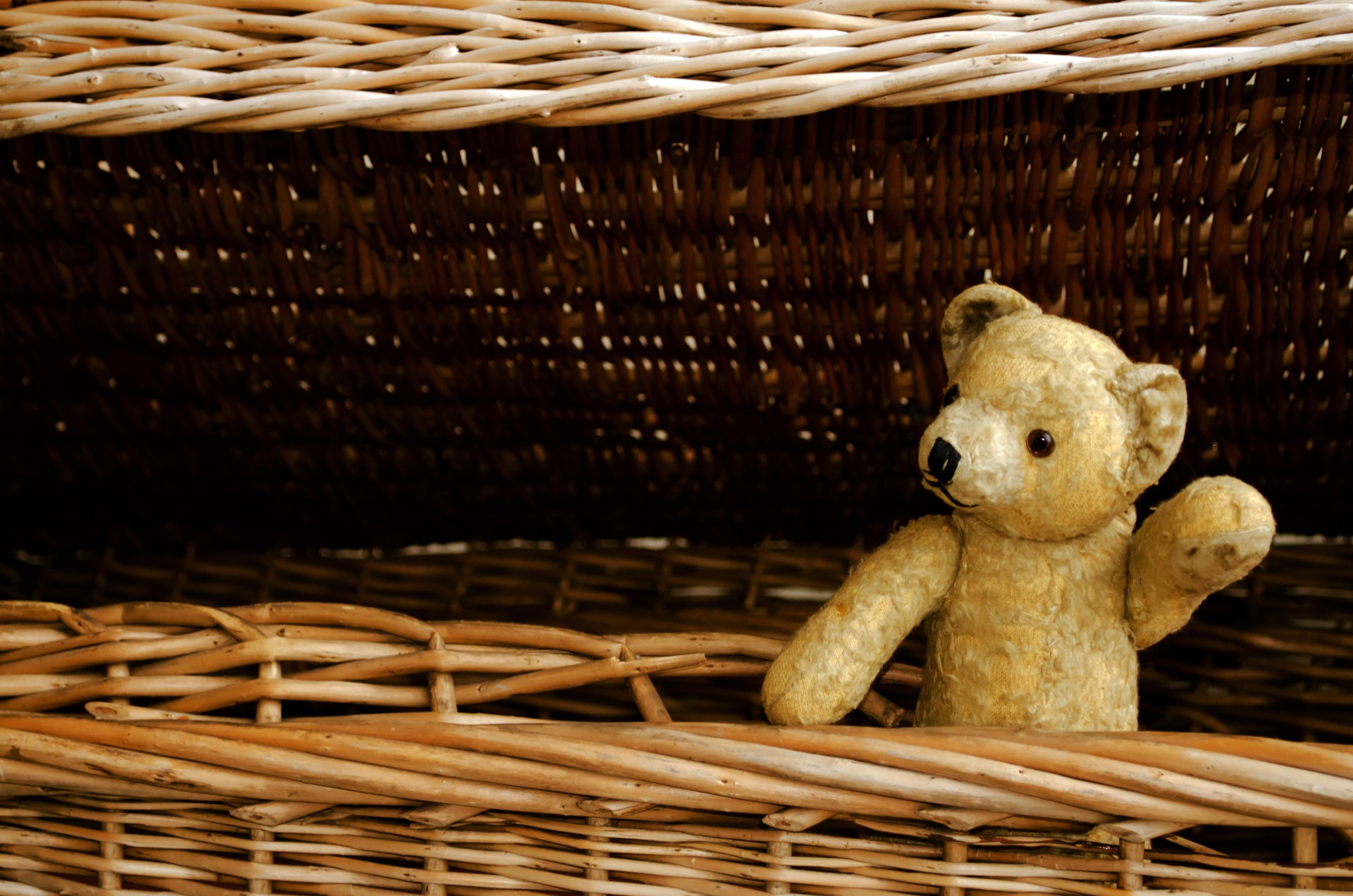 Teddy bear in a wicker basket free image download