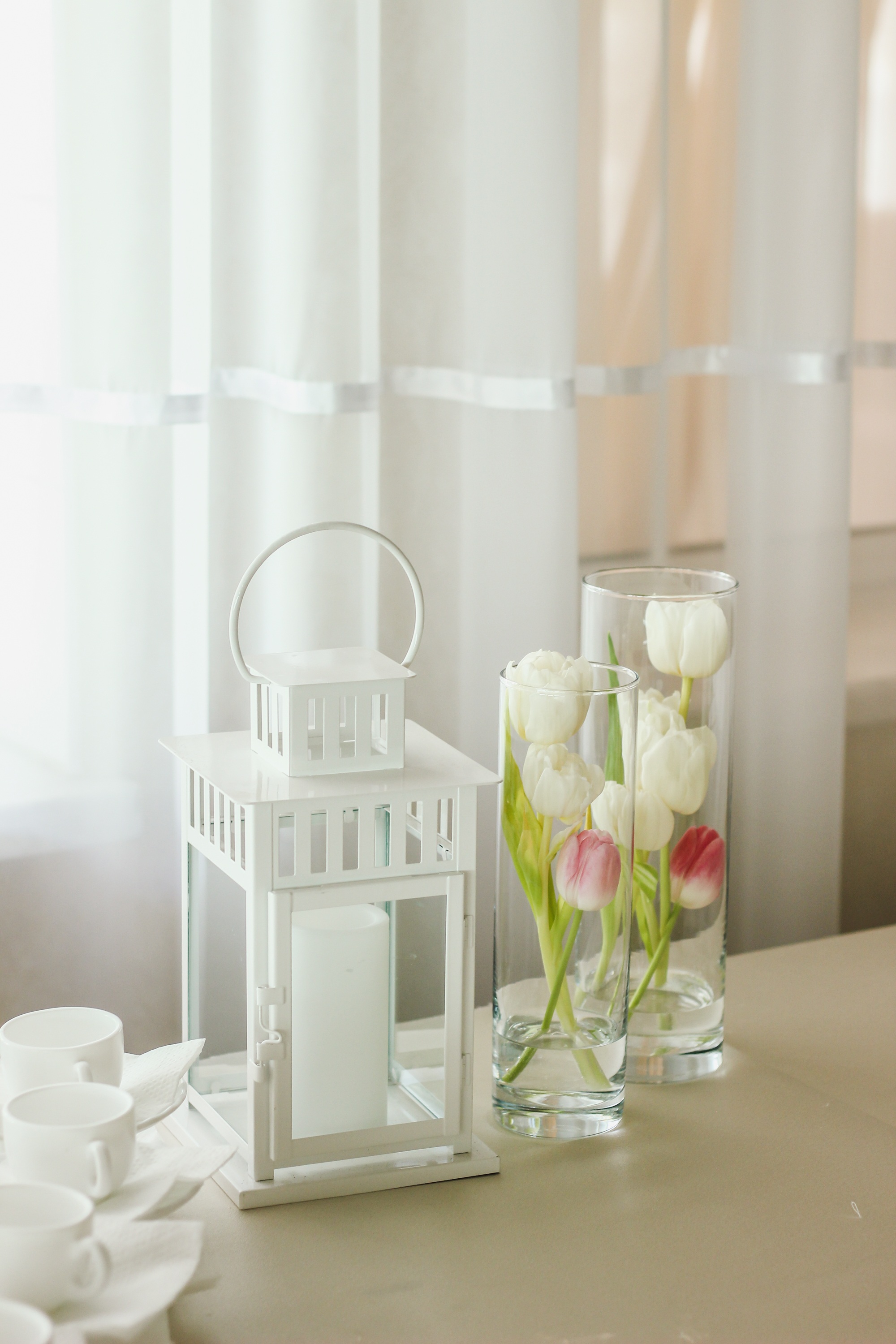 White Decor Flowers free image download