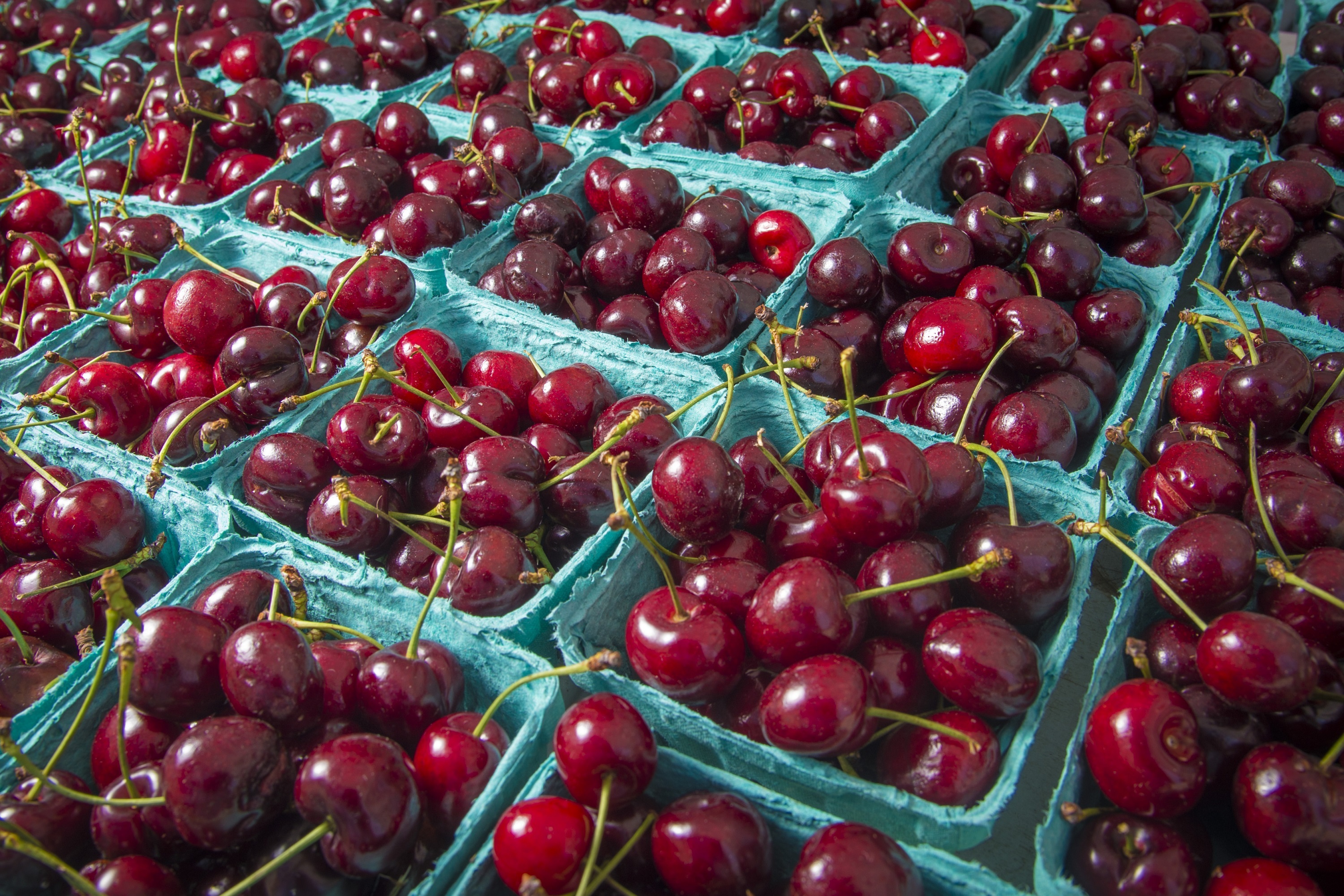 Red Cherries Fruit Food free image download