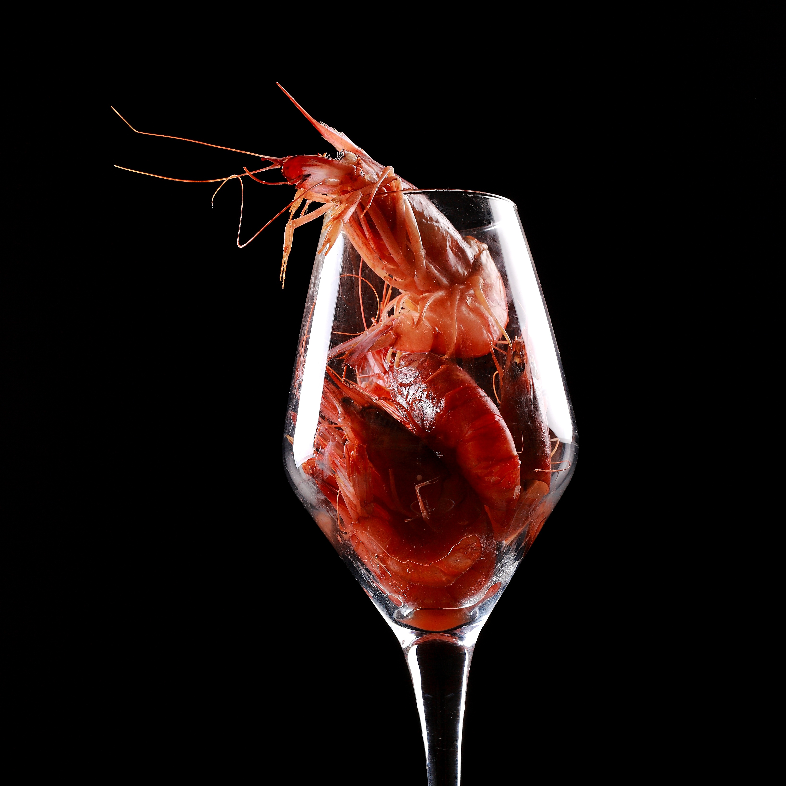 Shrimp Food Red free image download
