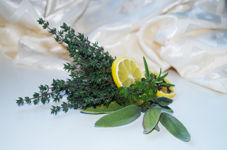 Herbs Lemon Sage free image download
