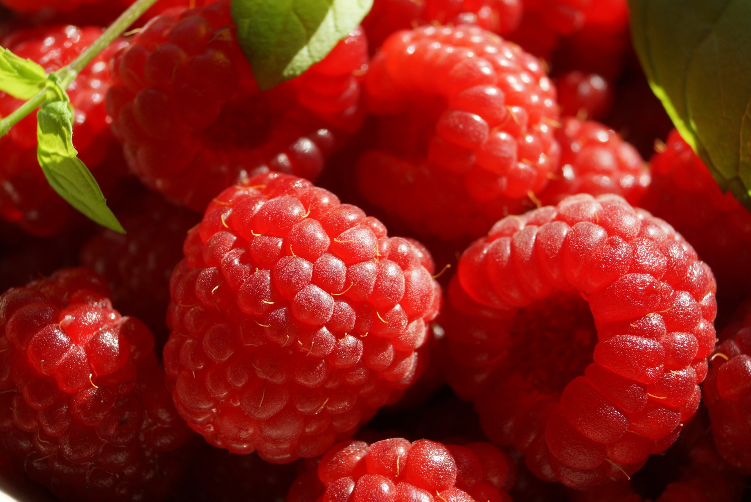 Fruit Raspberries Healthy free image download
