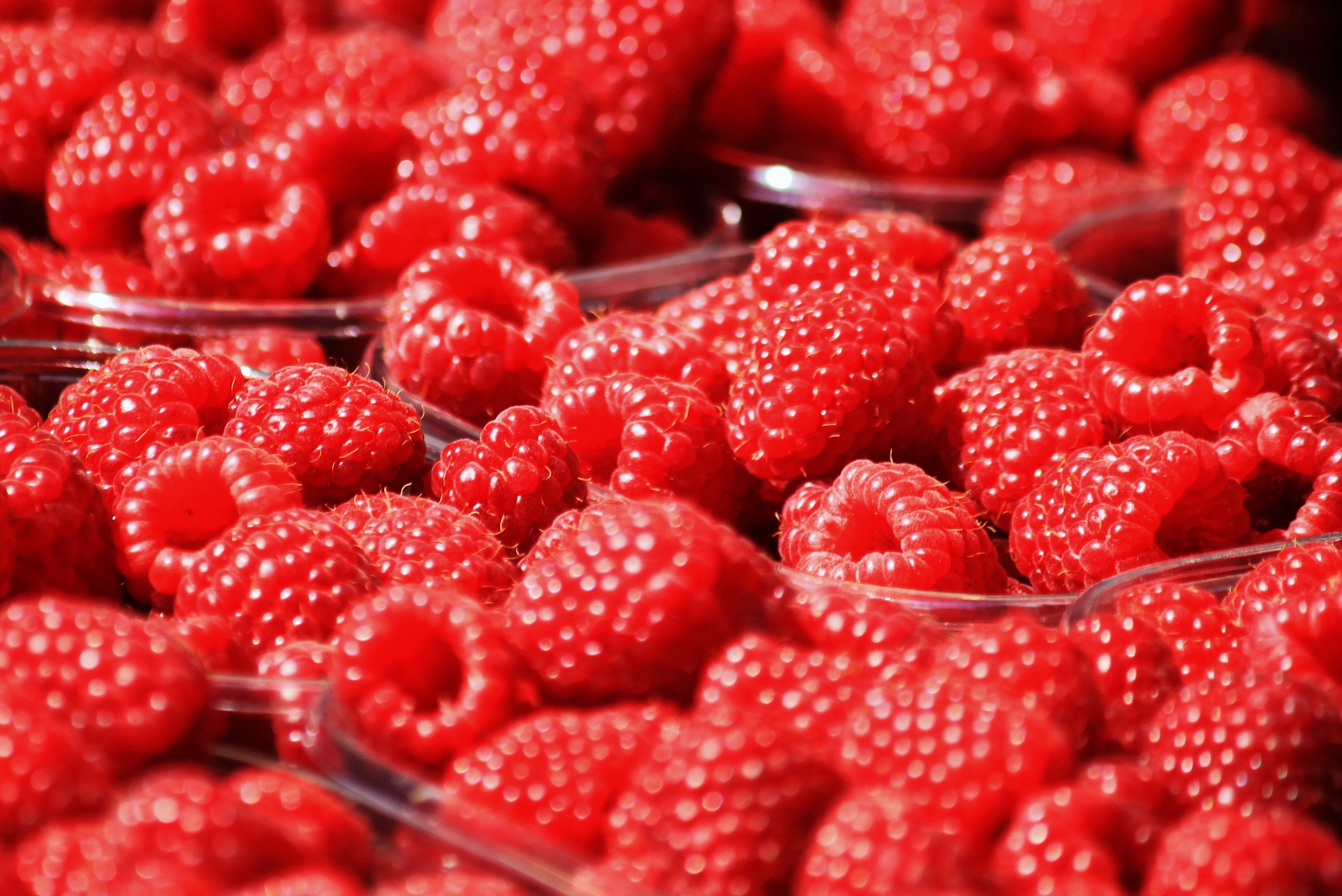 Raspberries Berries Fruits free image download