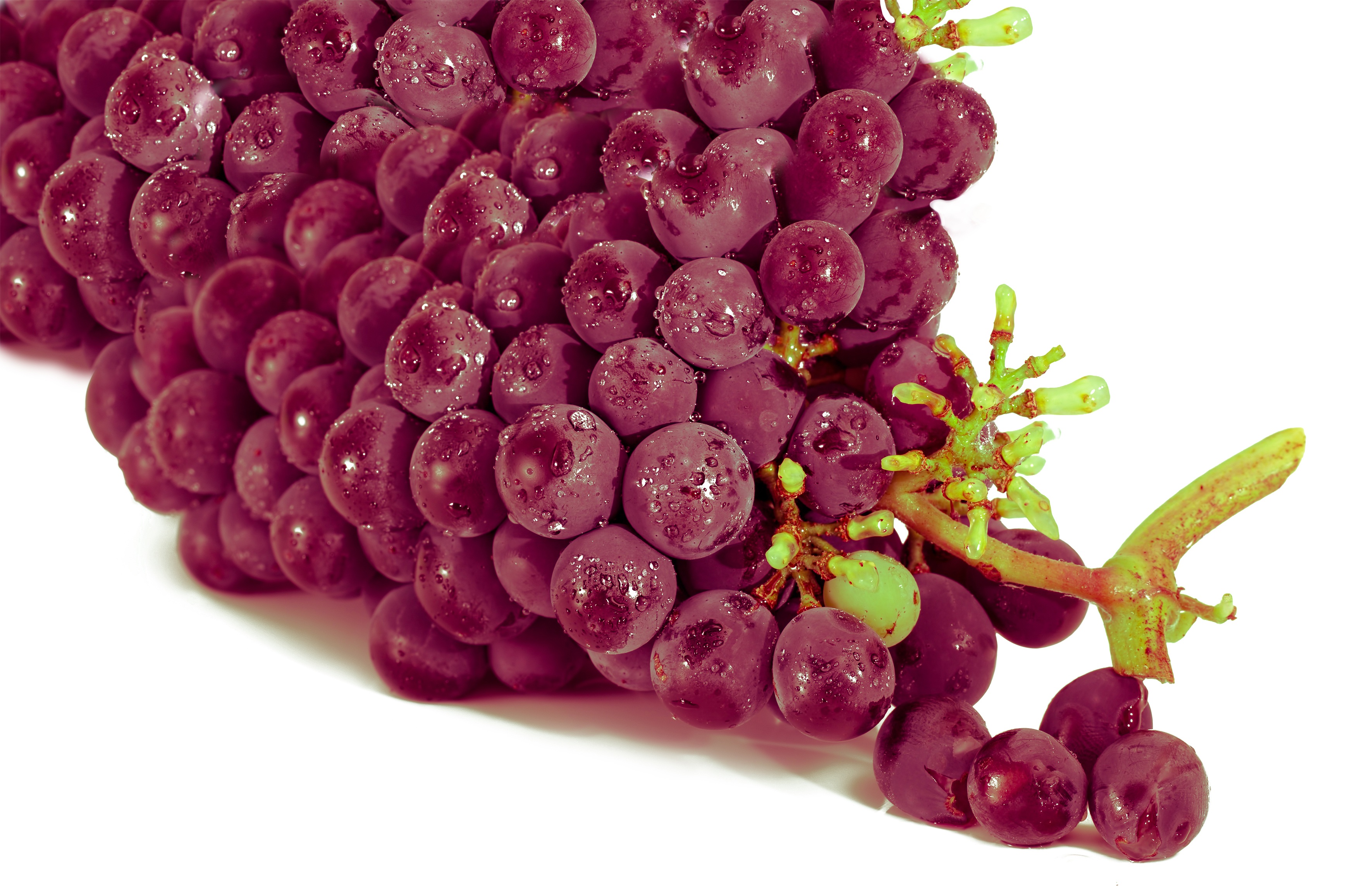 Grape Red Fruit free image download